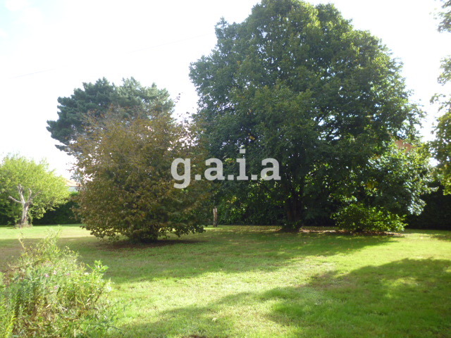 2509-04112025-070519-6