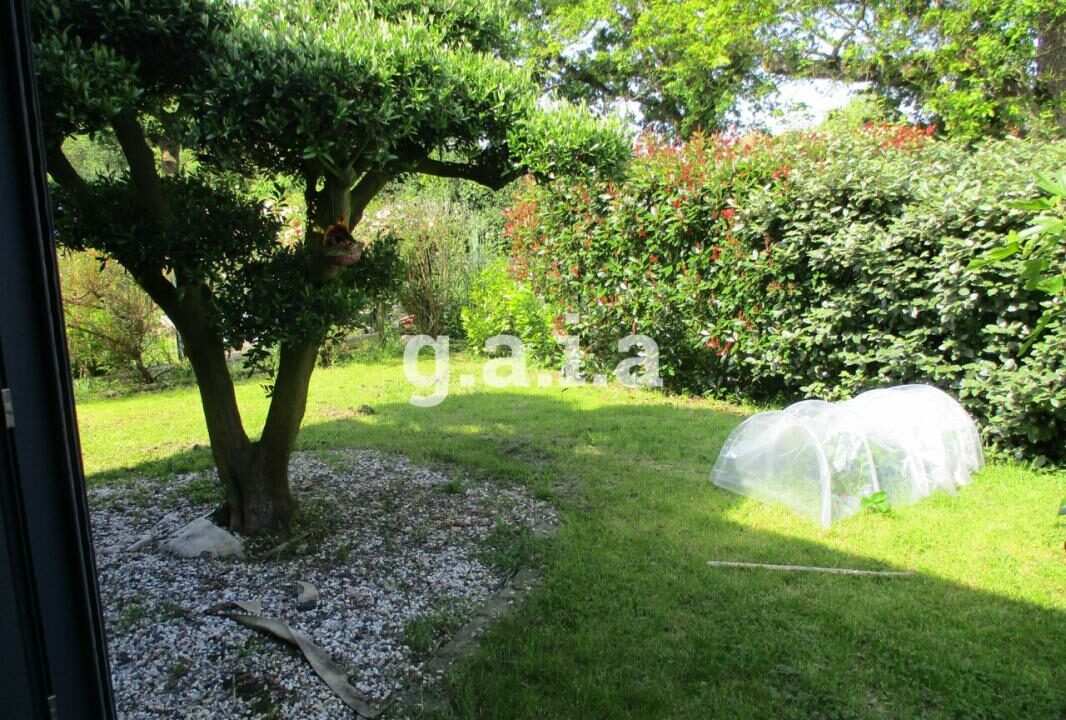 183-07122025-064113-4