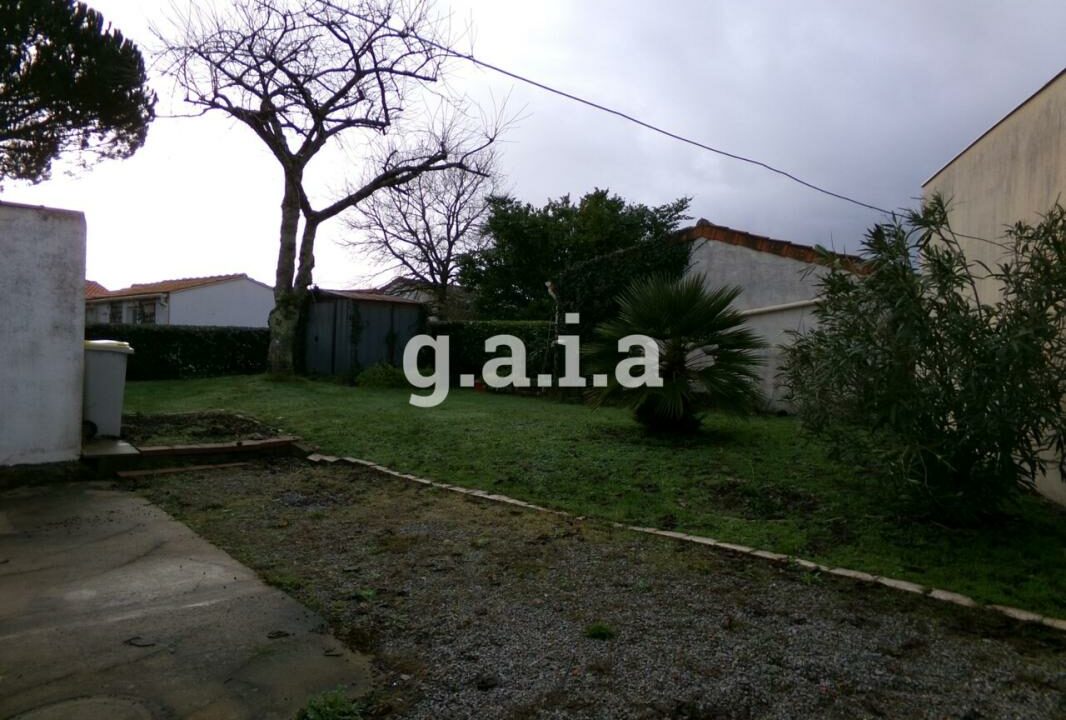 2603-07022026-061452-6